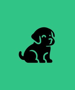 How to Take Care of a Puppy: Complete Beginner’s Guide